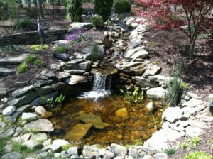 Waterfall and pond management services