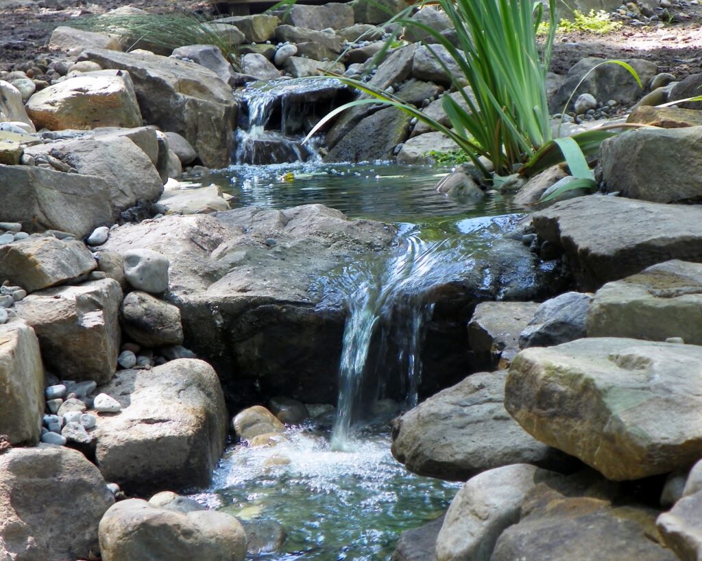 Water Garden