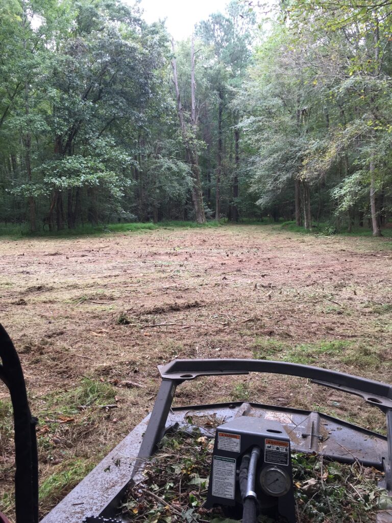 After Forestry Mulching