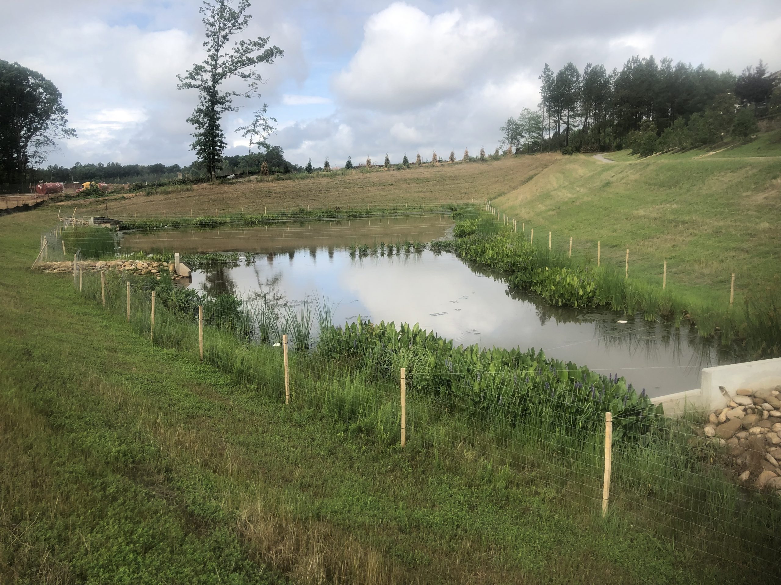 Temporary Waterfowl Fencing