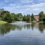 Aeration Enhances Ecosystem
