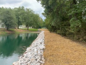 Shoreline Stabilization